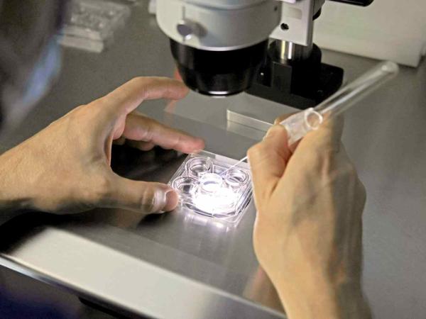 Ośrodek wspomaganej prokreacji