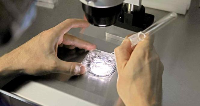 Ośrodek wspomaganej prokreacji