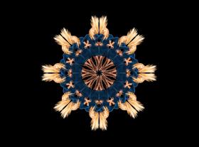 Regularne medytowanie pozytywnie zmienia umysł, ciało oraz związki z otoczeniem.