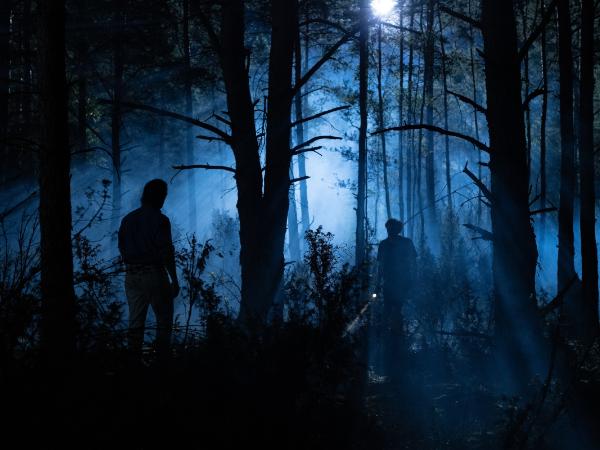 Kadr z serialu „W głębi lasu”