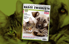 Od 27 maja w sprzedaży.