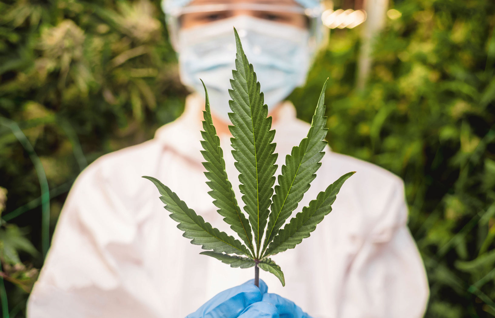 Trawka − szkodzi czy nie szkodzi?