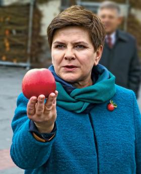 Podatki to inwestycja w spójne społecznie i dobrze zorganizowane państwo. Dziś – 100 dni po wyborach – elity polityczne PiS faktycznie mówią tym językiem