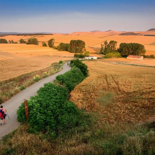 Pielgrzymi zmierzający szlakiem św. Jakuba do Santiago de Compostela.