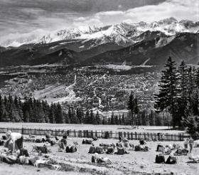 Turyści podziwiający panoramę Tatr z Gubałówki, maj 1973 r.