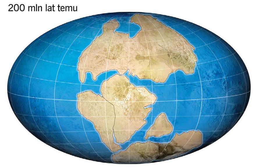 Superkontynent Pangea zaczął się rozpadać ok. 200 mln lat temu. Najpierw podzielił się na część północną i południową, a następnie każda z nich rozpadła się na mniejsze kawałki. Atlantyk w obecnym kształcie istnieje dopiero od 30–40 mln lat.