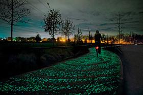 Holandia ma już bioluminescencyjną ścieżkę rowerową i autostradę, której oznaczenia wyświetlają się w nocy na asfalcie.