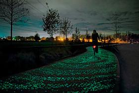 Holandia ma już bioluminescencyjną ścieżkę rowerową i autostradę, której oznaczenia wyświetlają się w nocy na asfalcie.
