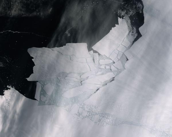 Od lodowca Pine Island oderwała się góra lodowa o powierzchni 300 km kw.