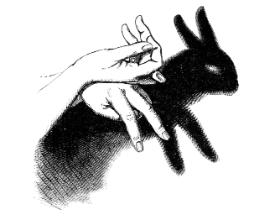 „Manipulacja nie musi być wyrafinowana. Musi być dobrze sprofilowana. Odnosić się do odpowiednich resentymentów i cech narodowych”.