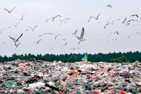 Średnio każdy mieszkaniec produkuje rocznie ok. 320 kg odpadów.