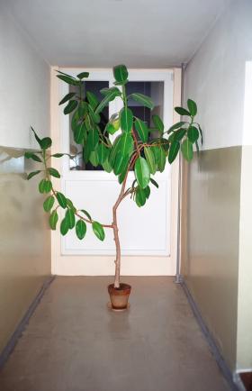 Hostel w Zielonej Górze, w zwykłym bloku z widokiem na miasto.