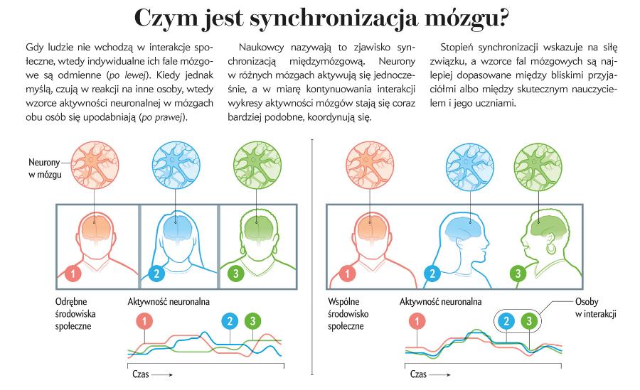 Czym jest synchronizacja mózgu?