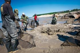 W obwodzie kaliningradzkim znajduje się 90 proc. światowych zasobów bursztynu.