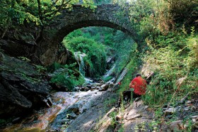 Nieodłącznym elementem krajobrazu są rzymskie drogi i mosty przecinające liguryjskie doliny.
