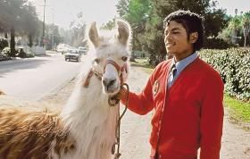 Michael Jackson lubił paradować ze swoją lamą.