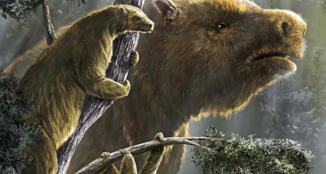 Leniwce wielokrotnie ewoluowały w zależności od stopnia ich naziemności. Na dole Bradypus tridactylus, po lewej Hapalops elongatus, w tle Megatherium americanum.