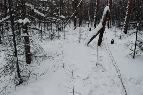 W jej pobliżu można znaleźć resztki łagrów.