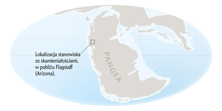 Wszystkie skamieniałości dylofozaurów pochodzą z dwóch stanowisk w północnej Arizonie, gdzie odsłaniają się skały wczesnojurajskie z początkowego okresu rozpadu Pangei. Źródło: Christopher R. Scotese (dane do mapy paleogeograficznej)