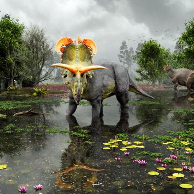 Rekonstrukcja Lokiceratops rangiformis na bagnach północnej Montany. W tle dwaj przedstawiciele rodzaju Probrachylophosaurus.