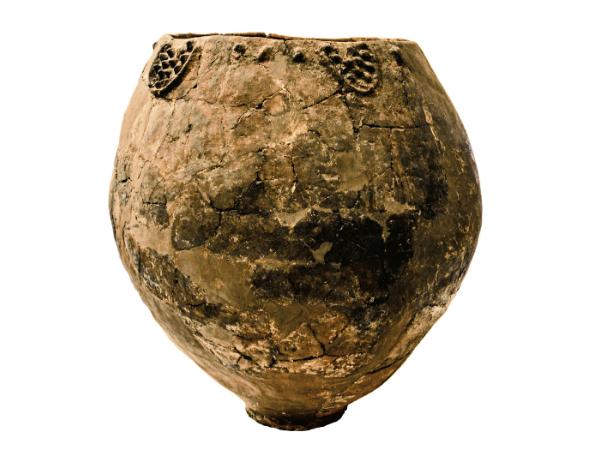 Dzban na wino sprzed 8 tys. lat. Znalezisko to uważane jest dziś za najstarszy ślad udomowienia winorośli na świecie.