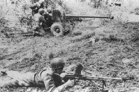 Anglik osłania obsługę polskiego lub brytyjskiego działa przeciwpancernego w rejonie obrony okrężnej Oosterbeek. Na drugim brzegu pod Driel żołnierze polscy byli prawie bezsilni wobec ataków czołgów. Ich działa wysłano do strefy działań Anglików.