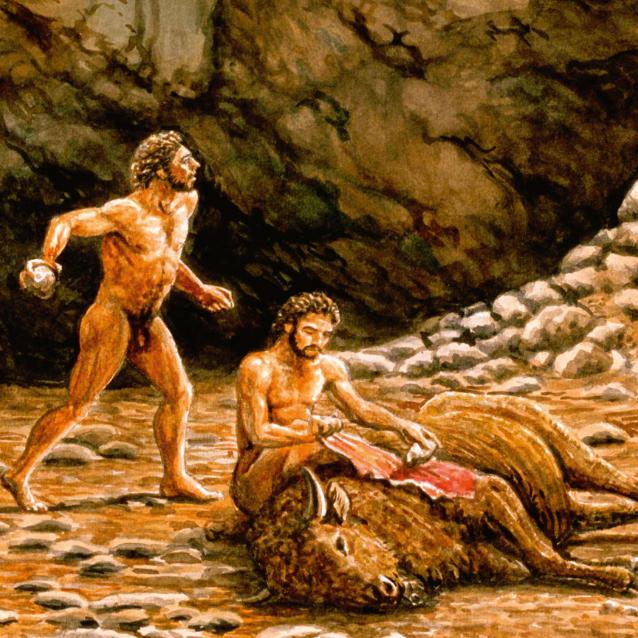 Wilki współpracujące z ludźmi to najbardziej znany przykład historycznych kooperacji.