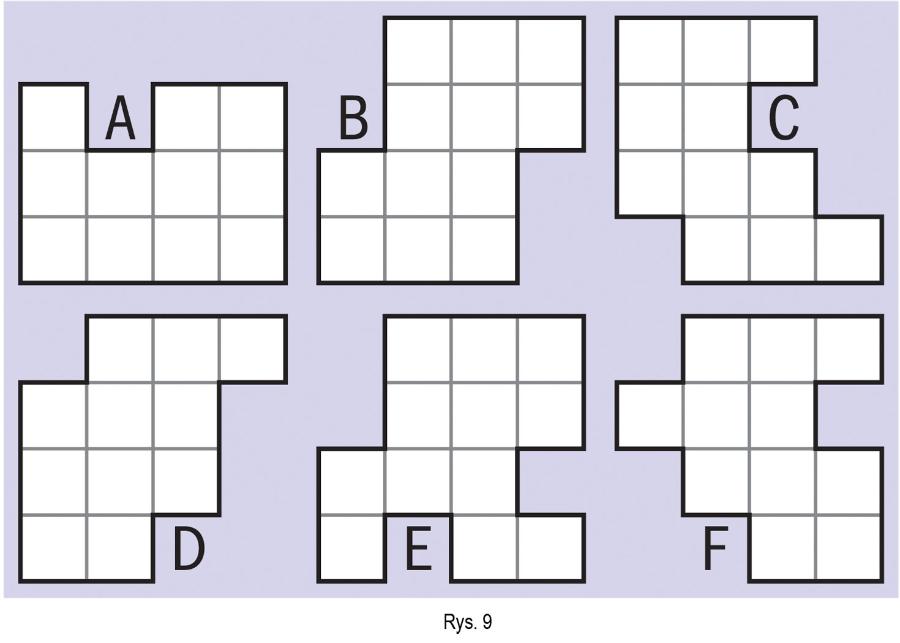 Rys. 8