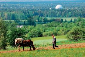 Talerze Centrum Usług Satelitarnych TP SAT w Psarach.