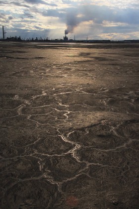 Stawy i fabryka należą do konsorcjum Syncrude