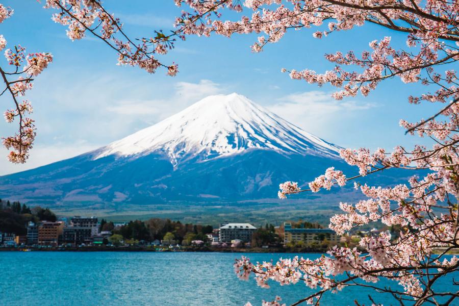 Wulkan Fudżi – najwyższa góra Japonii – drzemie od 300 lat; każdego dnia wdrapują się na niego tysiące ludzi.