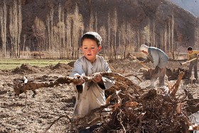 Robotnik Jumahon z dziećmi Mustafą i Husseinem pracują przy zbiórce opału. Chłopcy uczą się w szkole w Belogho. Droga do szkoły zajmuje im ponad godzinę w jedną stronę. Dystrykt Malistan, 2009