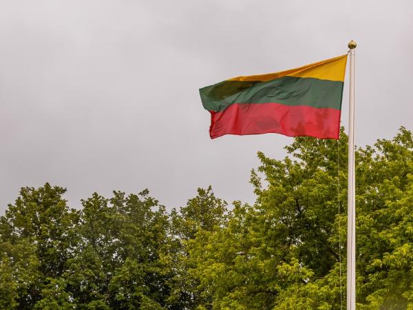 litwa flaga