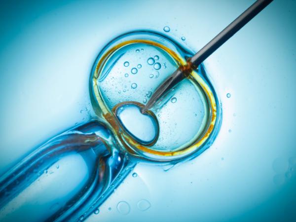 Sztuczna inteligencja w walce z bezpłodnością