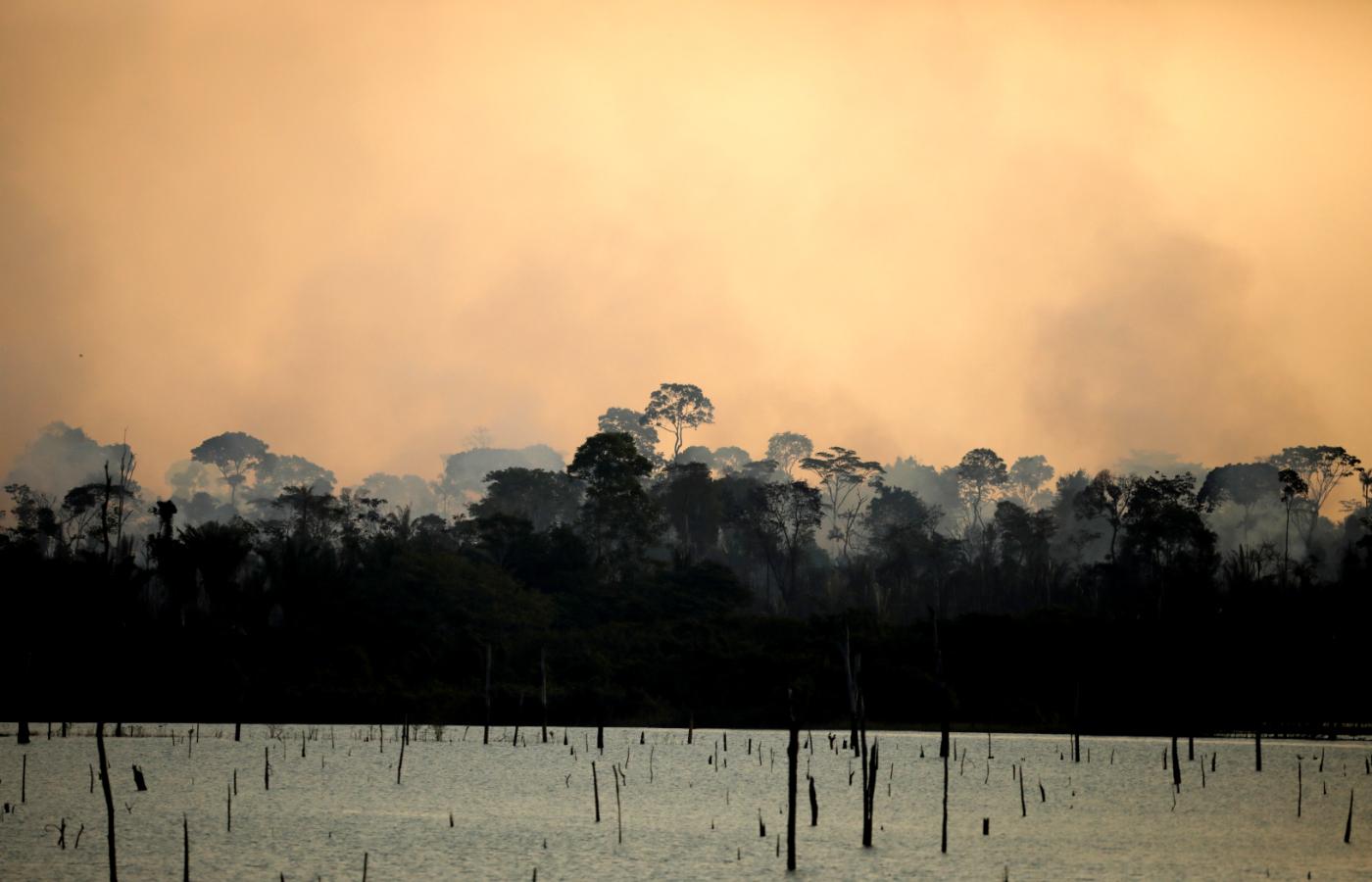 W ciągu ostatniej dekady zginęło ponad 300 osób walczących o ochronę lasów tropikalnych w Brazylii.