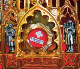 Relikwie Matki Teresy z Kalkuty z kościoła w Leśnej.