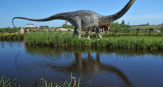 Łeba, Park Dinozaurów – na 20 ha zobaczyć można około stu gadów.