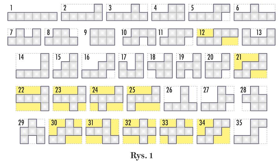 Rys. 1