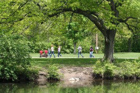 Naukowcy z Uniwersytetu Illinois przeprowadzili szereg badań, z których wynika, że przebywanie w otoczeniu zieleni ma zbawienny wpływ na zdrowie psychiczne ludzi i zwierząt. Stałe otoczenie roślinnością nasila zachowania prospołeczne.