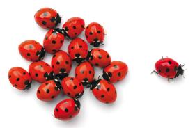 Tylko w drugim kwartale 2013 r. sprzedaż firmy wyniosła 1,5 mld euro, a zyski wzrosły o 8 proc.