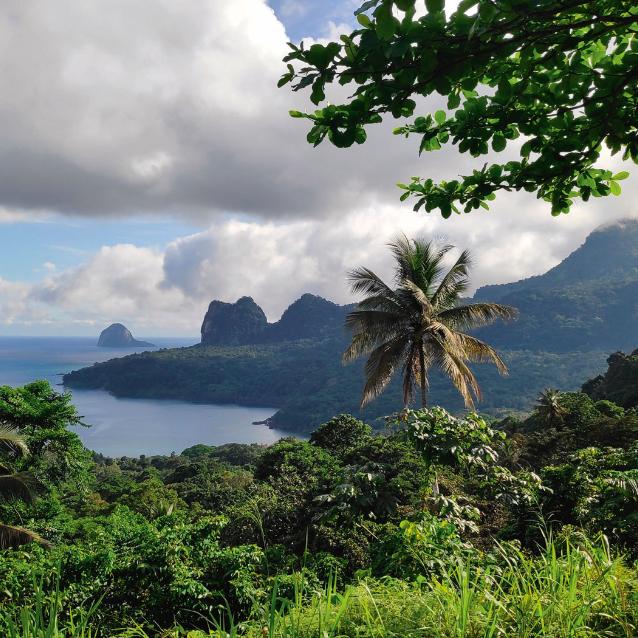 Wyspa São Tomé (Świętego Tomasza) w Zatoce Gwinejskiej to wystający z oceanu wulkan.