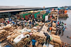 Przeładunek kakao w magazynach w San Pedro, mieście położonym w zachodniej części Wybrzeża Kości Słoniowej