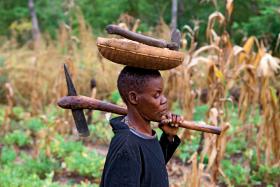 Postęp technologiczny w rolnictwie z różnych powodów dotychczas omijał Afrykę.