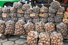 Nie przyjął się uproszczony schemat znakowania ziemniaków według kryterium kulinarnej przydatności.