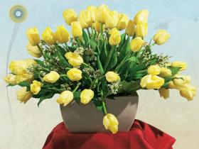 Maria Kaczyńska. Odmiana wyhodowana w Holandii przez Jana Ligtharta. Imię Pierwszej Damy nadano we wrześniu 2008 r.