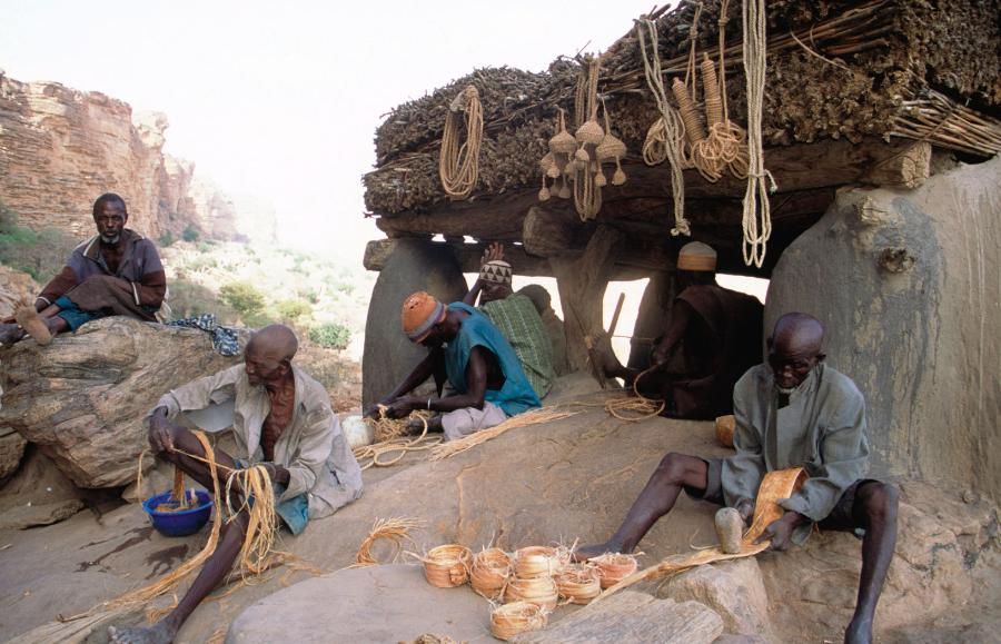 Z łyka baobabu można wyrabiać liny. Na zdjęciu lud Dogonów zamieszkujący Mali.