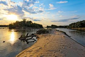 Jedna z wysp na Wiśle na wysokości wsi Tarnów.