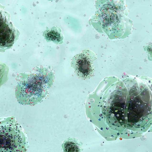 Pulsar - wyjątkowy portal naukowy.