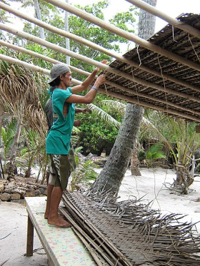 Liście palmowe są świetnym materiałem budowlanym...