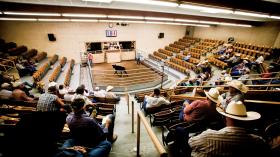 Aukcja bydła w Kansas. Ten stan zdominował rynek wołowiny w USA, wytwarzając jedną czwartą amerykańskiej produkcji tego mięsa.